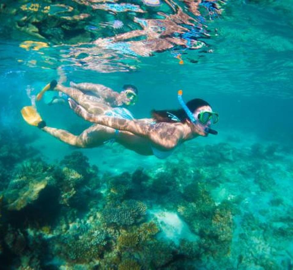 Snorkelling